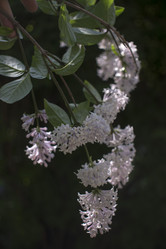 Similar image 21469038