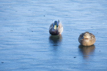 Similar image 21469040