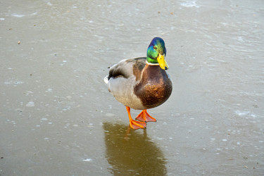 Similar image 21469041