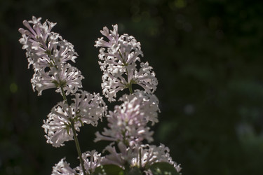 Similar image 21469042