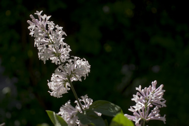 Similar image 21469043