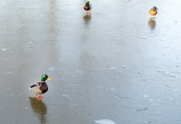 Similar image 21469044