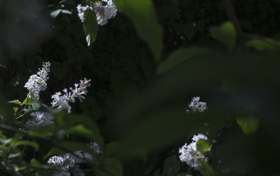 Similar image 21469046