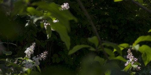 Similar image 21469050