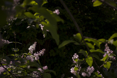 Similar image 21469053