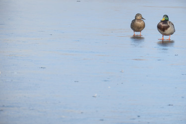 Similar image 21469055