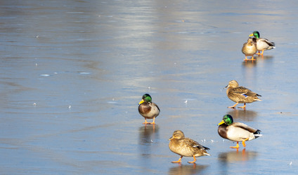 Similar image 21469059