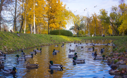 Similar image 21469065