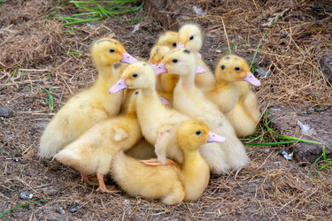 Similar image 21469070