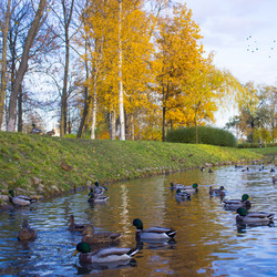 Similar image 21469071