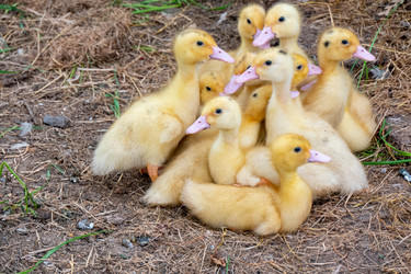 Similar image 21469075