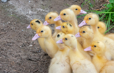 Similar image 21469077