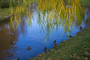 Similar image 21469078