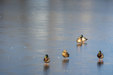 Similar image 21469079