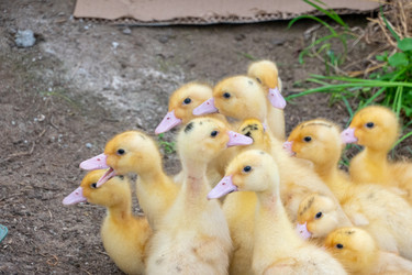 Similar image 21469082