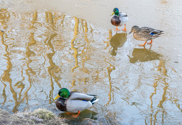 Similar image 21469086