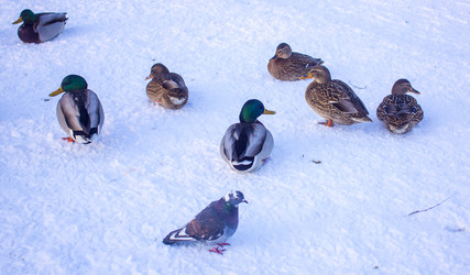 Similar image 21469087