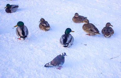 Similar image 21469090