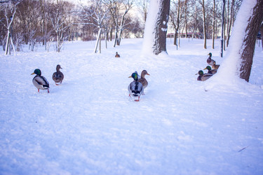 Similar image 21469095