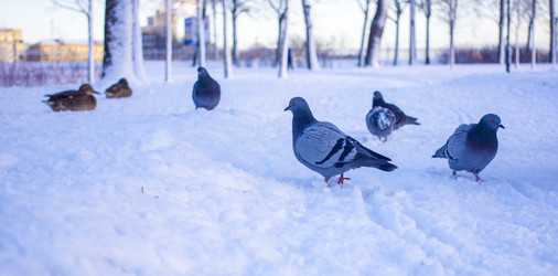 Similar image 21469100