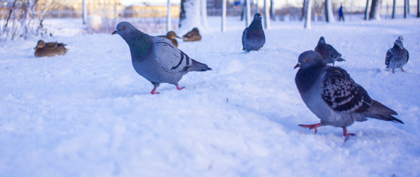 Similar image 21469101