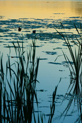 Similar image 21469103