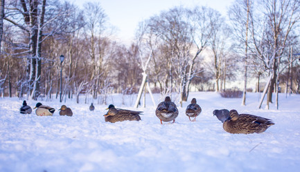 Similar image 21469104