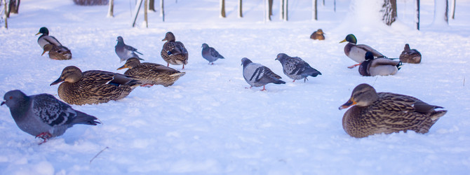 Similar image 21469108