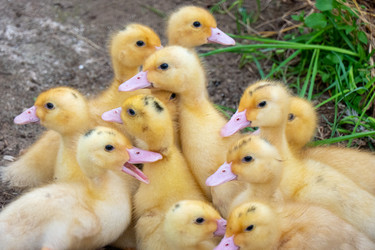 Similar image 21469109