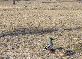 Similar image 21469113