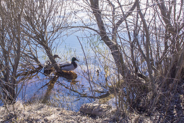 Similar image 21469116