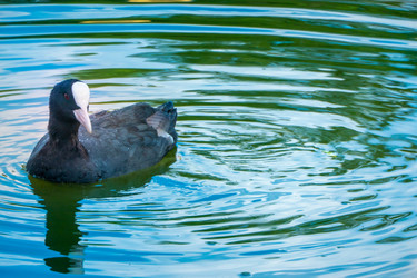 Similar image 21469118