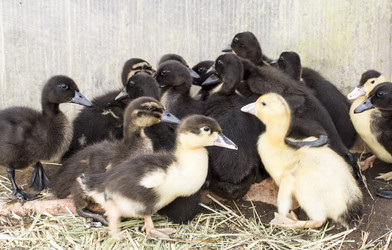 Similar image 21469120