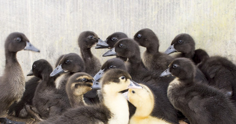 Similar image 21469123