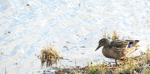 Similar image 21469124