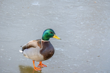 Similar image 21469127