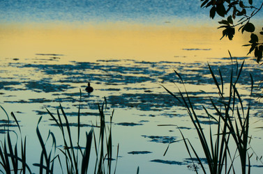 Similar image 21469131