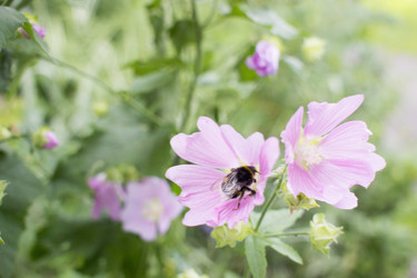 Similar image 21469132