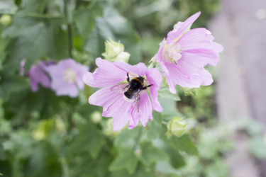 Similar image 21469135