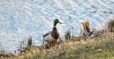 Similar image 21469198