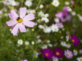 Similar image 21469202