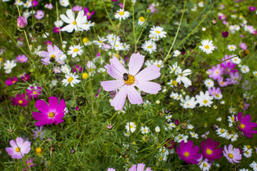 Similar image 21469206