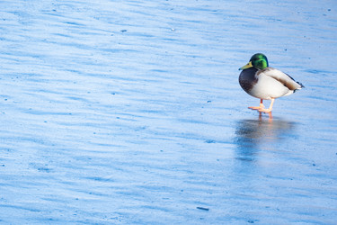 Similar image 21469207