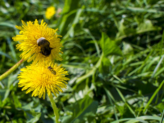 Similar image 21469217