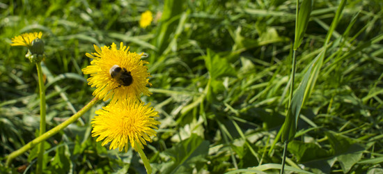 Similar image 21469222