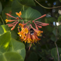 Similar image 21469224