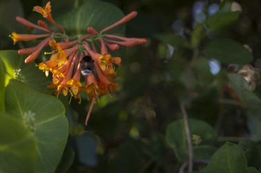 Similar image 21469225