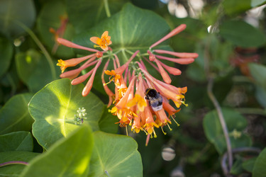 Similar image 21469226