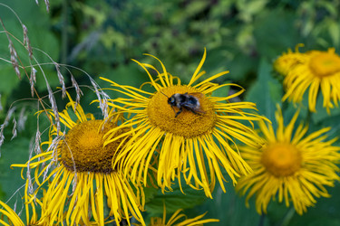 Similar image 21469227