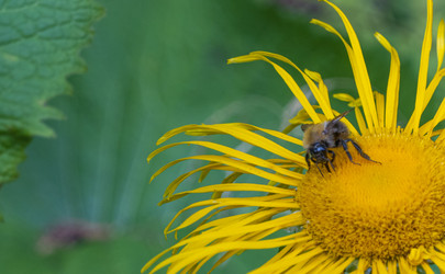 Similar image 21468777